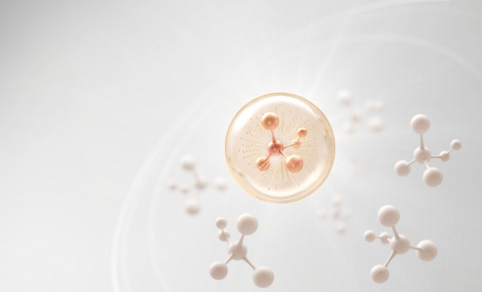 Collagene di tipo I e II: proprietà e importanza per il nostro organismo