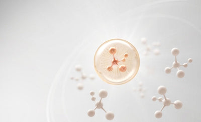 Collagene di tipo I e II: proprietà e importanza per il nostro organismo