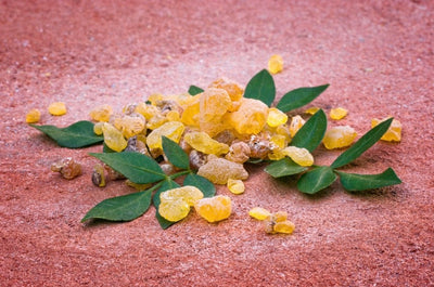 Boswellia