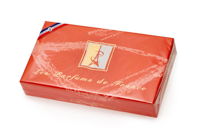 Set di profumi - les parfums de france 10 pz.
